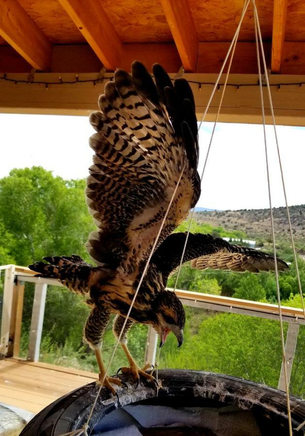 Cave, Yurt, Bubble And Other Glamping Adventures Ξενοδοχείο Σεντόνα Εξωτερικό φωτογραφία
